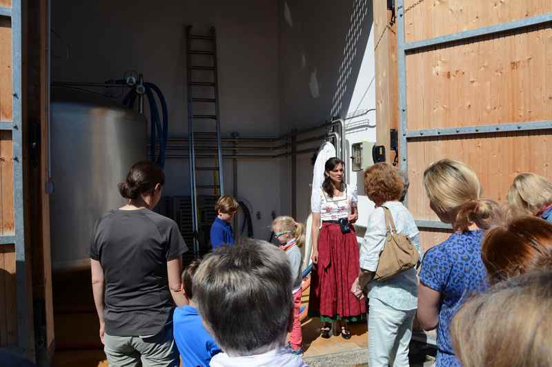 Käserei Tegernsee Führung: Hier werden jeden Tag 7000 Liter Milch angeliefert