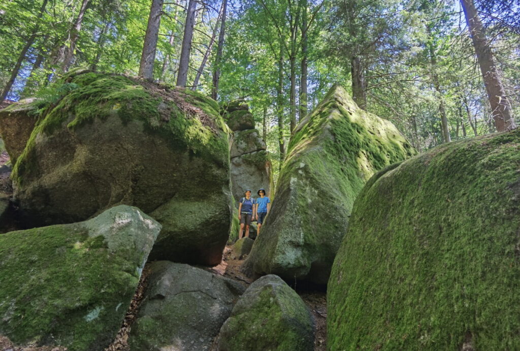 Außergewöhnliche Klamm Bayern: Die Höllbachtal Wanderung lohnt sich!